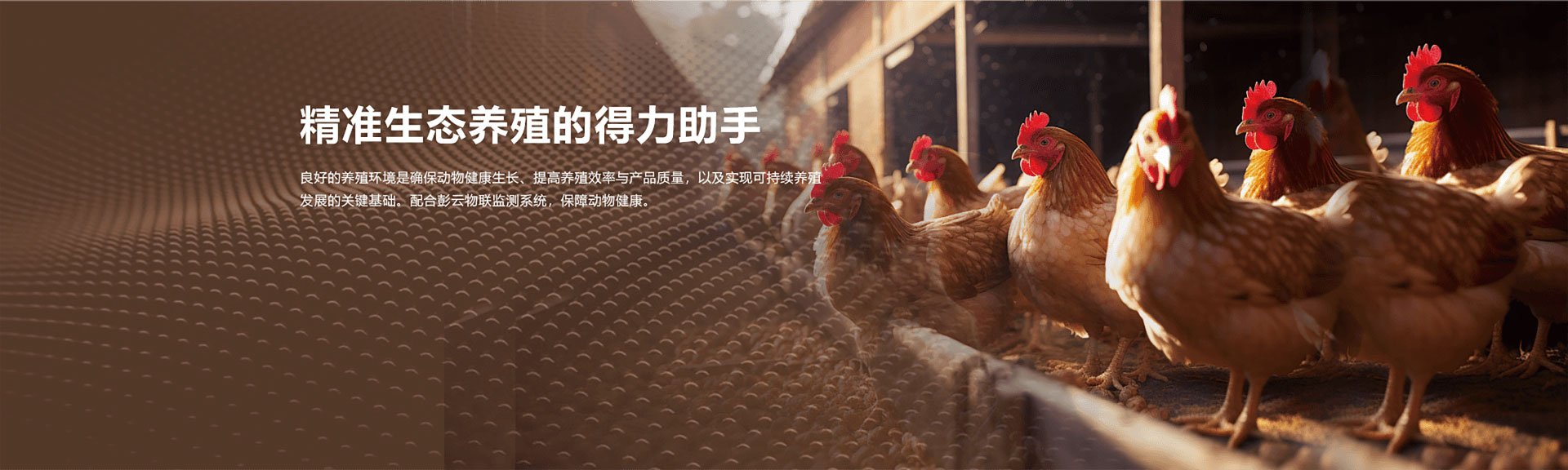 远程监测，环境守卫