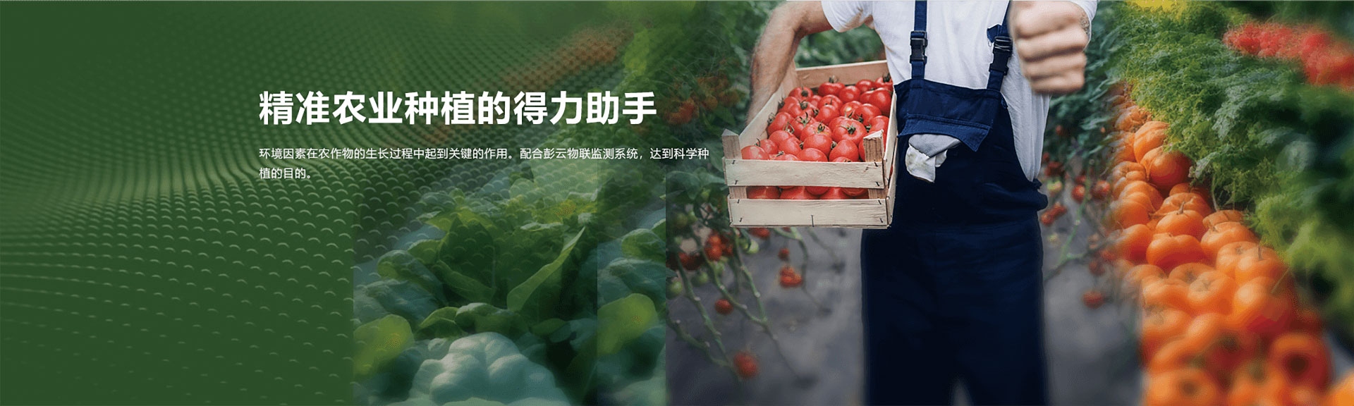 远程操控，省时省力